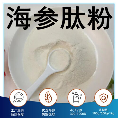 海参肽粉小分子低聚肽厂家直供海参小分子活性肽海参粉海参肽原料 - 封面