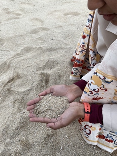 天然河沙沙子粗沙细沙沙土种花土壤种植土鱼缸底沙黄沙沙石营养土