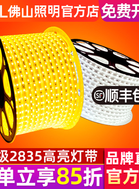佛山照明 led灯带2835高亮户外防水软灯条220V家装客厅吊顶双排