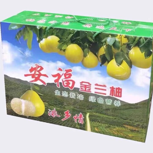 江西安福正宗金兰柚井冈蜜柚高山老树柚子萍乡蚕子金沙柚新鲜包邮