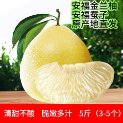 江西安福正宗金兰柚井冈蜜柚高山老树柚子萍乡蚕子金沙柚新鲜包邮