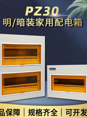 家用配电箱经济PZ30回路箱明装空开箱暗装强电箱体总控开关配电箱