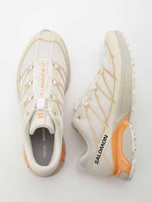 日本代购直邮SALOMON XT-PATHWAY 2专属色运动休闲徒步登山鞋情侣