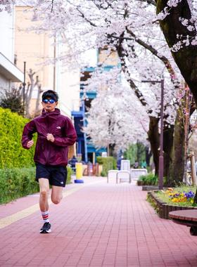 日本代购直邮SUNHL-BL日常通勤休闲运动蓝色太阳镜防紫外线墨镜