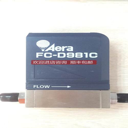 AERA FC-D981C 流量计 20SLM AR