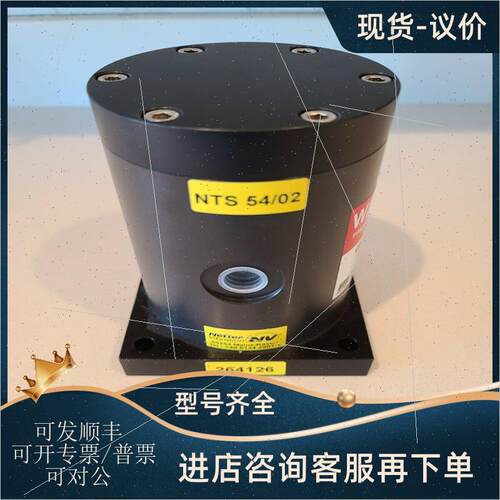 议价德国NETTER VIBRATION振动器NTS 54/02