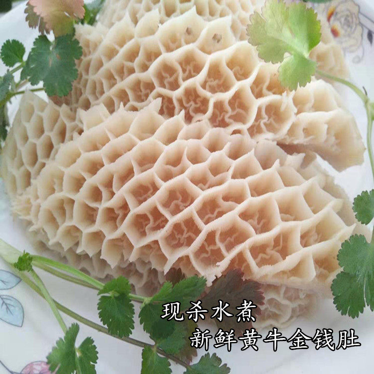 金钱肚 金钱肚新鲜冷冻 牛肚金牛杂/牛杂制品