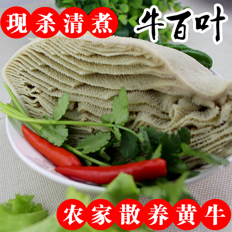 黄牛牛百叶牛肚新鲜 牛百叶新鲜千层肚火锅 白煮千层肚500g