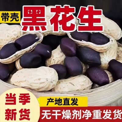 2025东北正宗生黑花生带壳黑子养胃晒干带壳黑花生生花生带壳新鲜