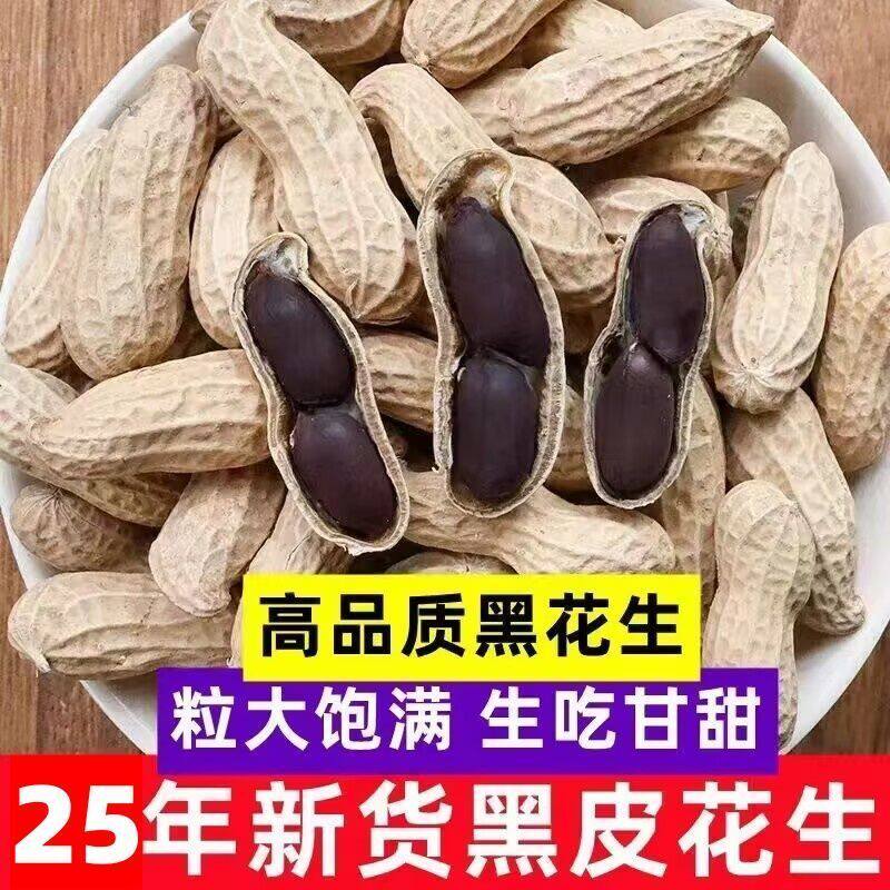 2025新货带壳黑花生农家自种带壳黑花生生吃甘甜净重发货大粒饱满