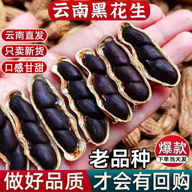 云南黑花生带壳黑皮花生农家自晒花生新货生吃紫皮花生黑花生富硒