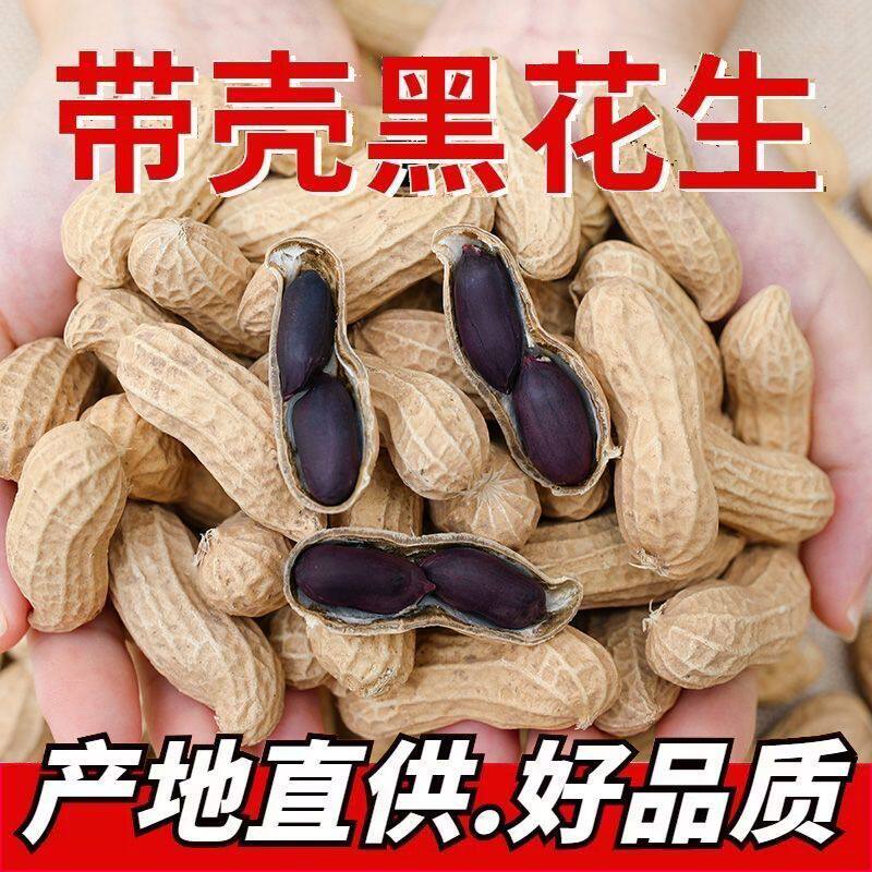 农家黑花生黑花生带壳新鲜晒干黑花生带壳生吃紫皮花生黑皮花生
