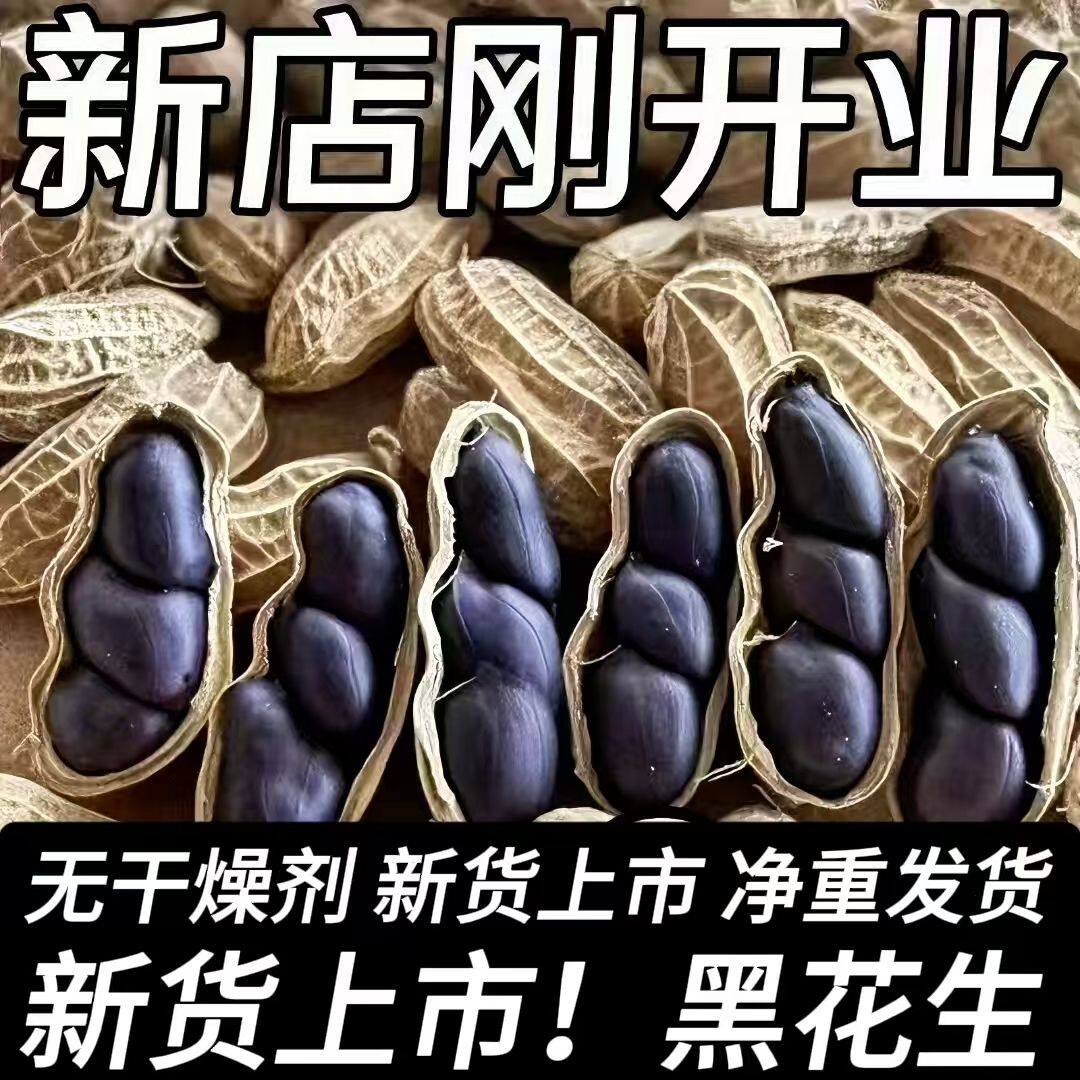 带壳黑花生种子农家黑色晒干富硒黑花生种带壳生吃甘甜黑花生种子