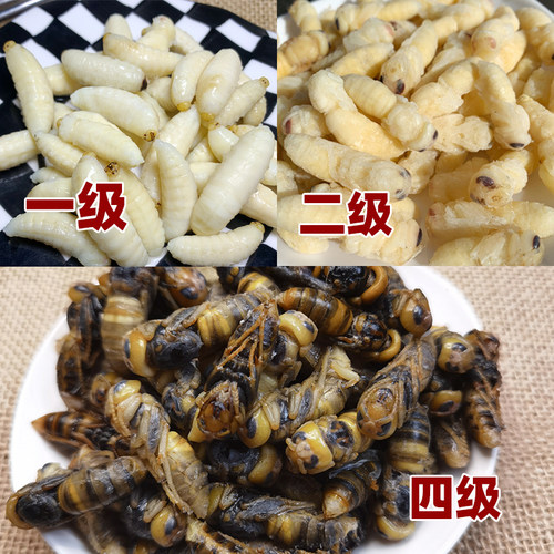 虎头蜂马蜂蛹包邮大黑蜂蜂蛹黑蜂野生大马蜂昆虫马蜂蛹土蜂蛹
