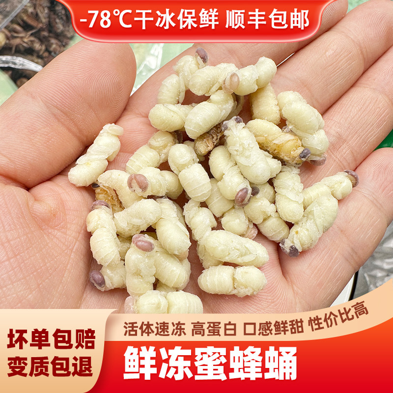 蜜蜂蛹 新鲜冷冻天然活体速冻500g可食用昆虫高蛋白滋补