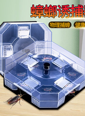 抓蟑螂神器蟑螂屋诱捕捕捉器