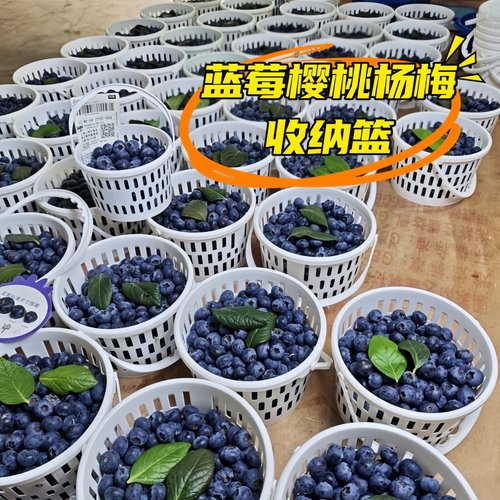 蓝莓杨梅樱桃篮塑料篮子