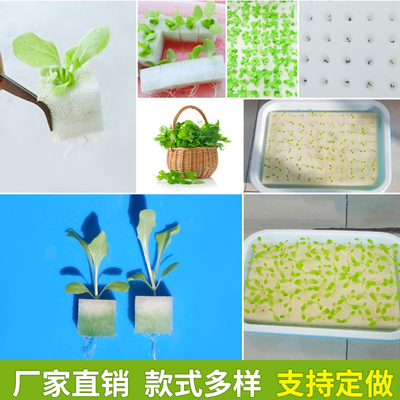厂家设备定植方形凹坑水培蔬菜