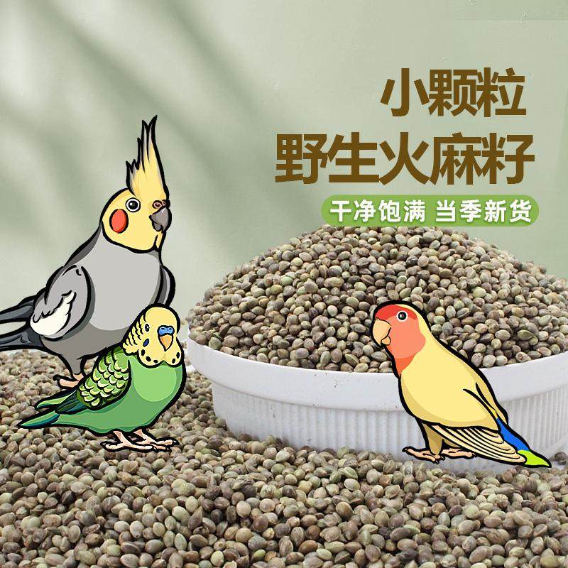 小粒麻籽野生火麻子纸壳麻子鸟食饲料奖励训练食物小型鹦鹉鸟零食,宠物/宠物食品及用品,鸟食,淘宝优惠券,粉丝福利购,淘宝优惠卷