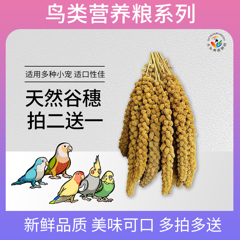 【新货】鹦鹉鸟黄谷子穗天然农家穗零食虎皮玄凤牡丹带壳鸟食饲料