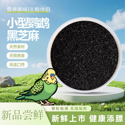 新鹦鹉黑芝麻小型鸟粮食虎皮牡丹