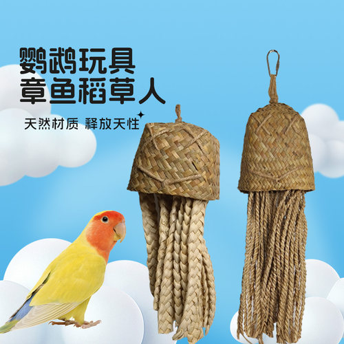 鹦鹉磨嘴球海草球新品植物健康