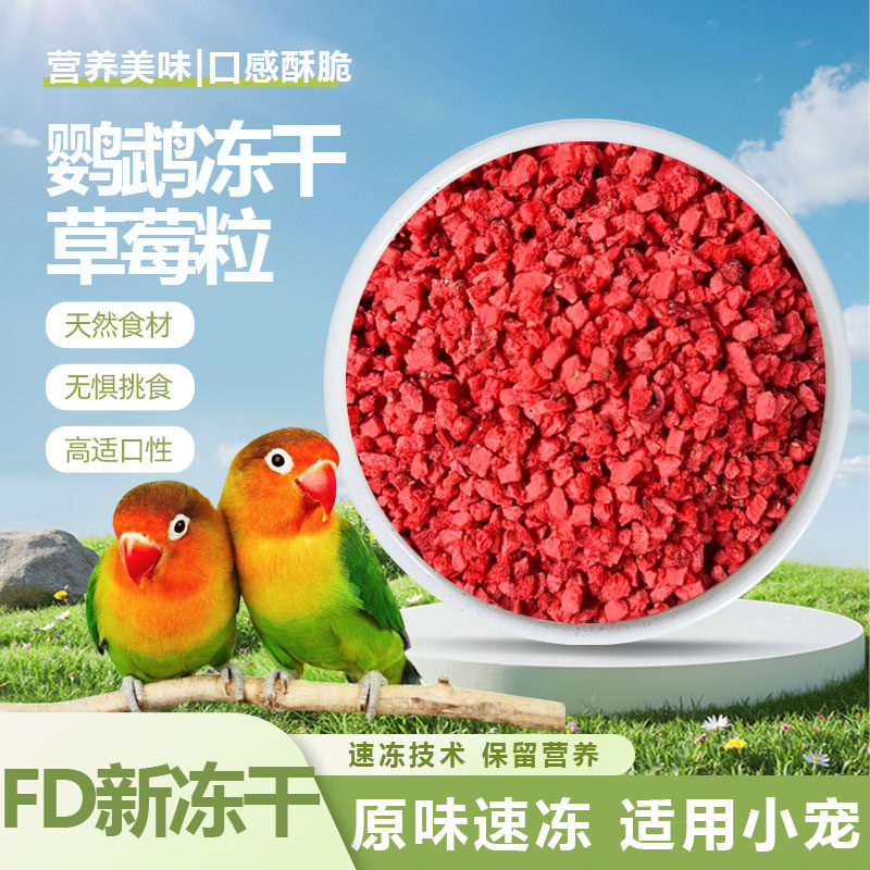 鹦鹉草莓冻干营养美味酥脆冻干粮鸟食饲料零食鸟辅食伴粮水果冻干