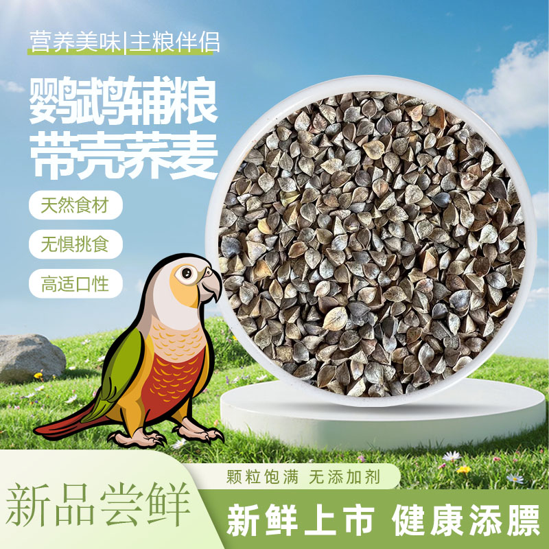 鹦鹉带壳荞麦鸟食饲料营养美味饲料玄凤牡丹鸟食荞麦米和尚小太阳