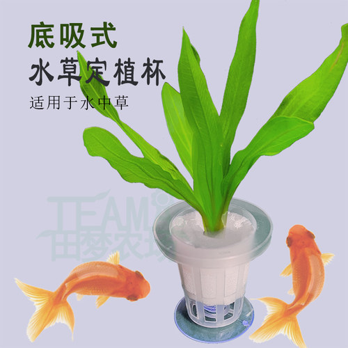 水族鱼缸水草定植杯底部吸盘式水草固定篮环三件套造景装饰套装