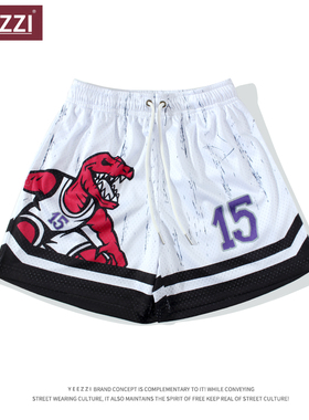 ins猛龙麦迪定制款美式篮球运动短裤重磅暴龙透气网眼四分裤旅游