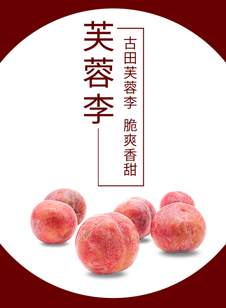 古田高山芙蓉李