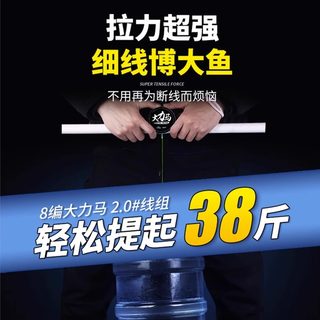 绑好成品大力马主线线组钓鱼线大马力全套大物鲢鳙巨物套装鱼钩