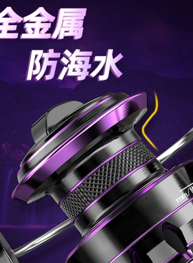 全金属纺车轮路亚渔轮远投专用