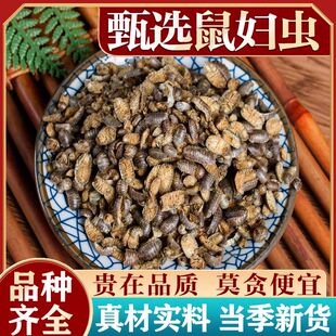 鼠妇虫中药材500g潮虫地虱子鼠子鼠姑团子虫米汤虫鼠妇虫饵料磨粉