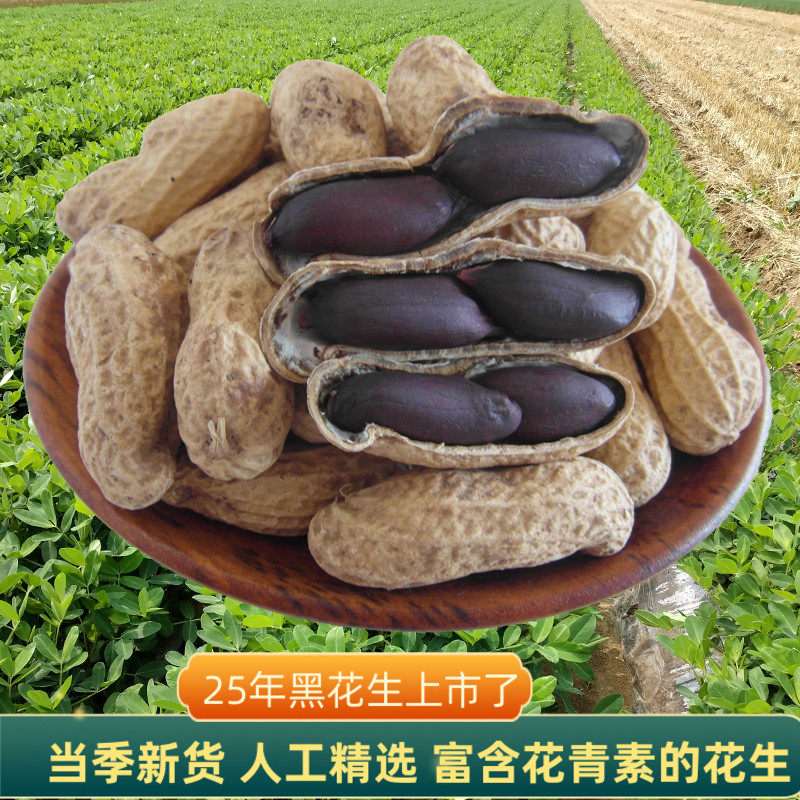 当季新货农家自种新生带壳大粒富硒黑花生可食用米煮粥豆浆