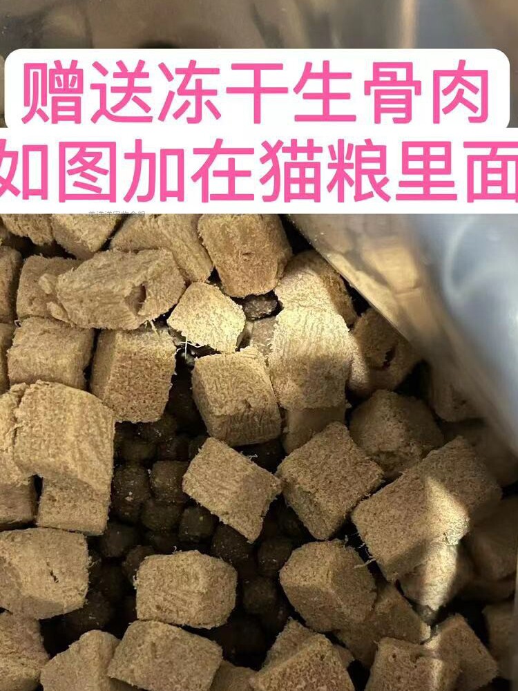 自制鸡肉海鱼糙米鲜肉猫粮成猫幼猫通用型天然增肥发腮2.5KG包邮