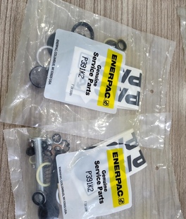 恩派克P392维修包