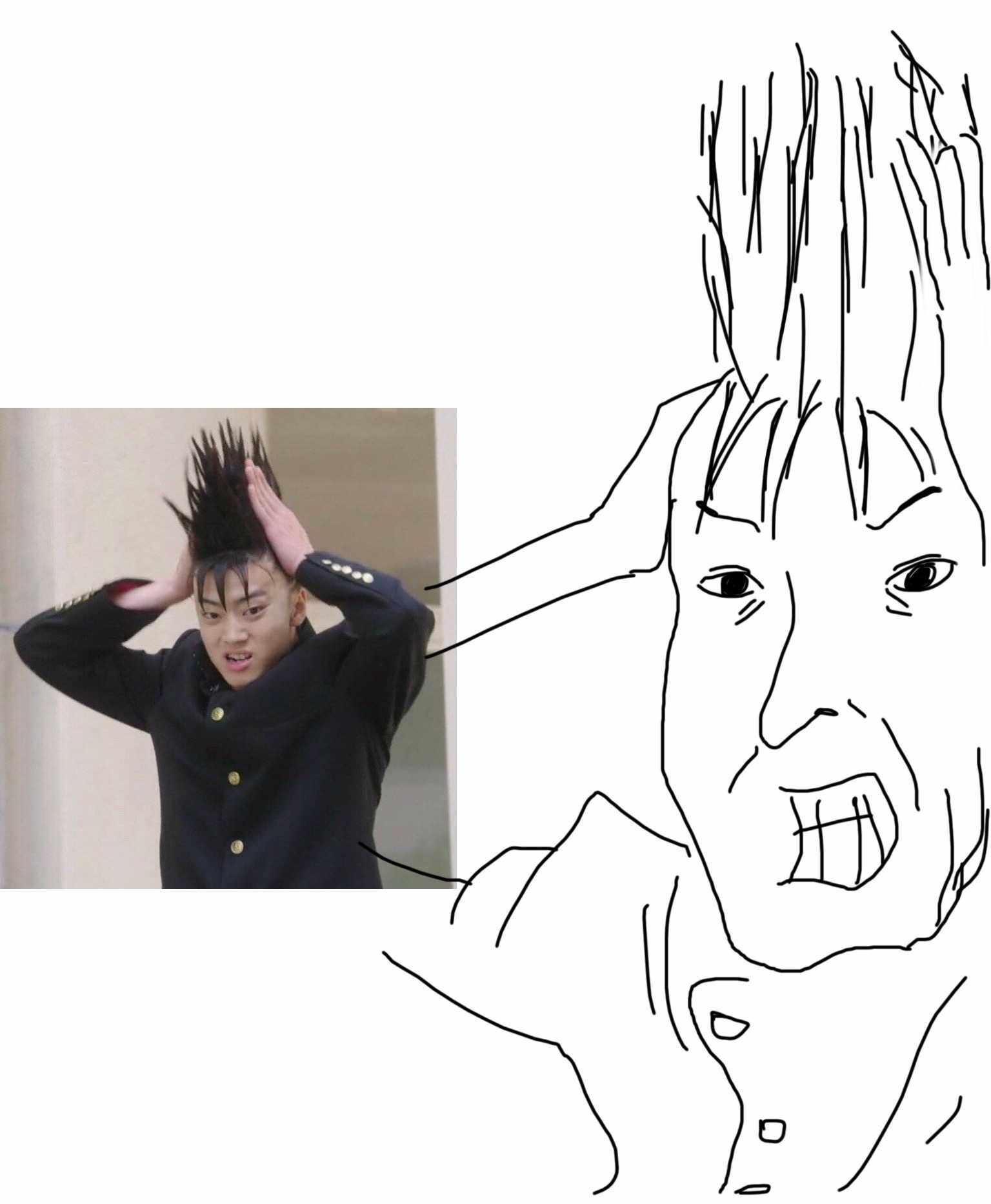 猫寝 专业手绘头像 素描 黑白线条简笔画 来图定制 画风可选择