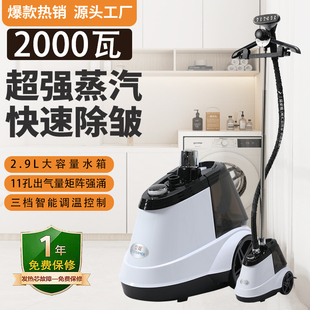 大功率挂烫机商用家用大蒸汽熨烫斗手提立式 一挺立挺服装 熨衣机