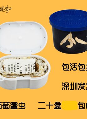 广东葡萄蜜虫玉米虫鸟类饲料零食