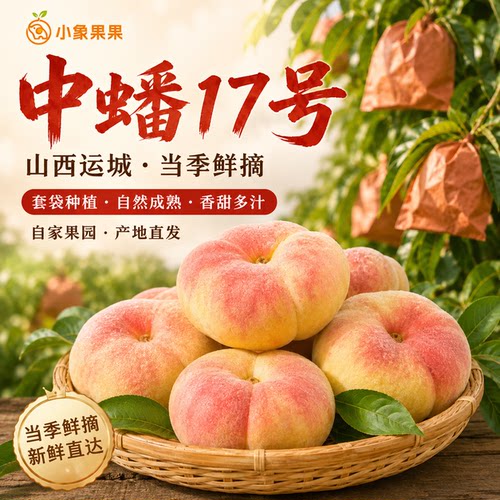 正宗中蟠17号山西鲜摘毛蟠桃