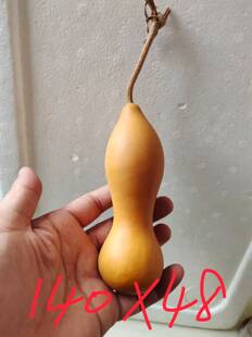 天然手把文玩本长葫芦工艺品皮质老成瓷实响籽一物一图