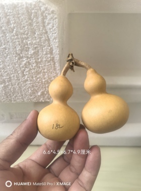 手把连枝摆件一物一图文玩