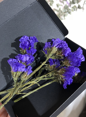 DIY永生花花材手工蜡烛材料香薰蜡片干花贺卡勿忘我紫色星辰花