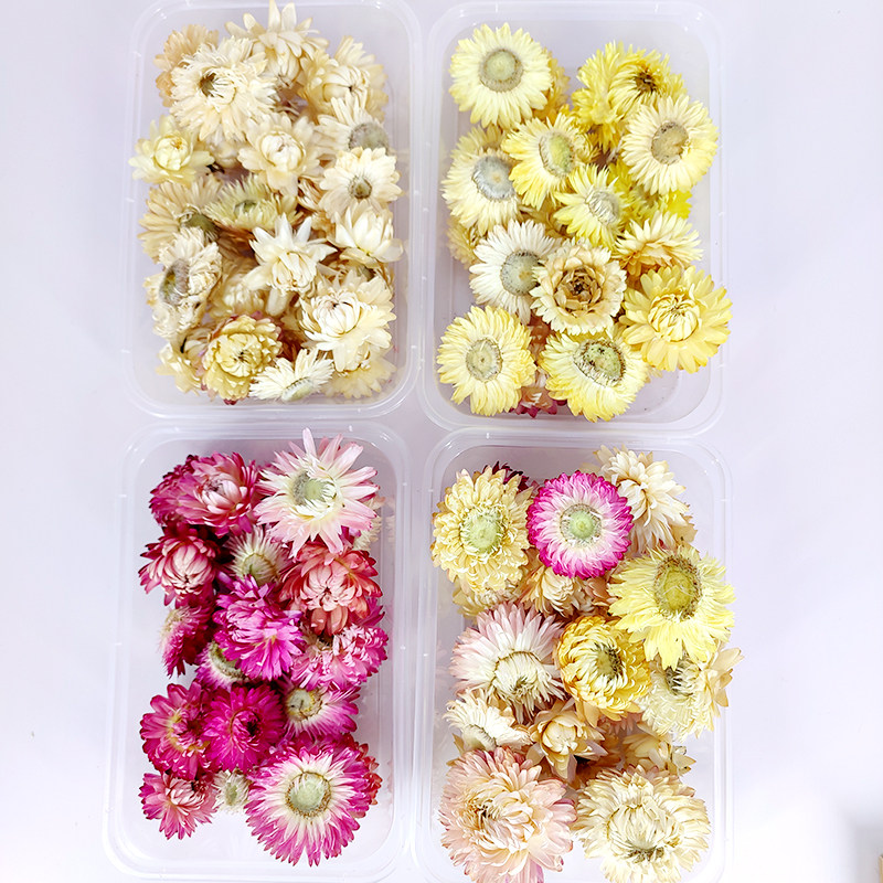 天然麦秆菊花朵DIY立体干花相框花材包手工INS风香薰蜡片雏菊花盒