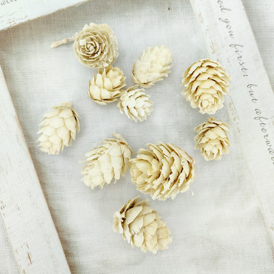 圣诞漂白松果摆件diy天然干花材