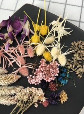 diy干花材手工材料花头麦穗香薰蜡烛蜡片滴胶材料澳梅真花紫色