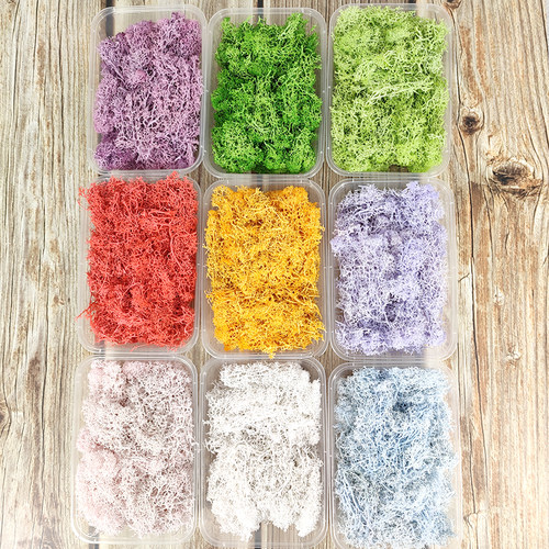 永生花苔藓干花diy材料盒装