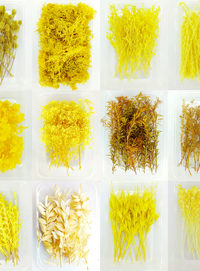 DIY黄色系干花大全盒装永生花套装手工小花束相框蜡片装饰材料包