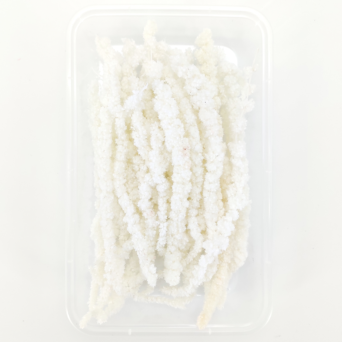 diy条状干花天然吊米穗永生花材